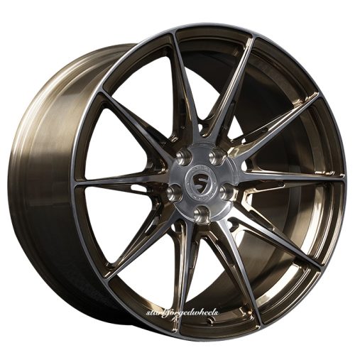 Stark Forged_Monoblock_SSM19 Product